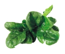 Spinach is high in antioxidants