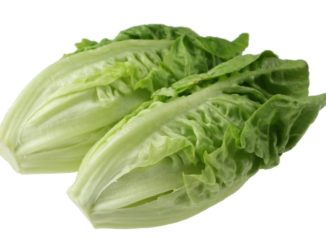 Romaine Lettuce