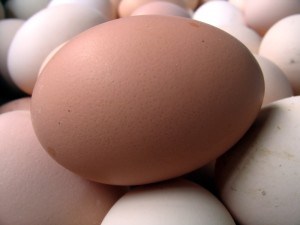 Eggs in limited amounts are normally a fairly safe option