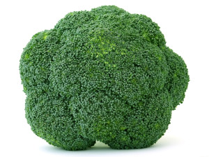 Fresh Green Broccoli