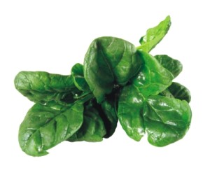 Spinach leaves are high in natural folate