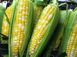 Sweetcorn is loaded with antioxidants