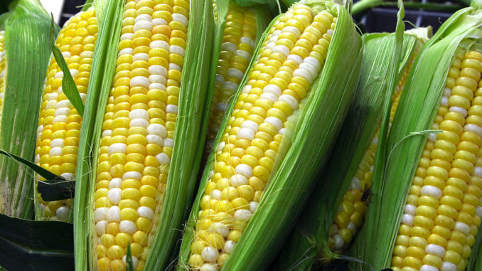 Sweetcorn is loaded with antioxidants