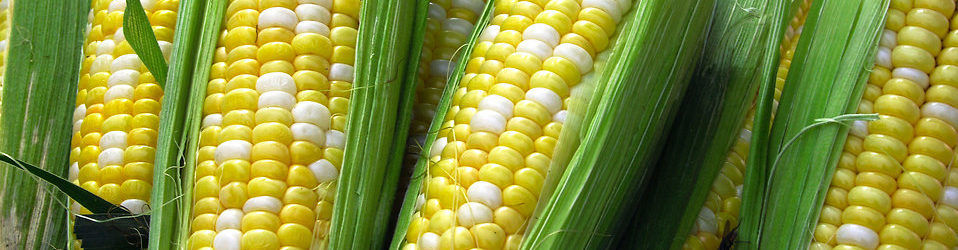 Sweetcorn is loaded with antioxidants