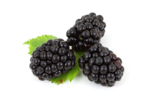 Blackberries have one of the highest levels of antioxidants of all the fruits