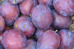 Plums are the perfect high antioxidant snack food