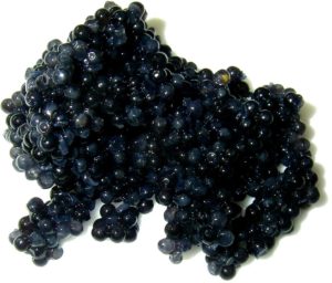 Caviar is classed as a high purine food