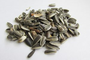 Sunflower seeds are a great snack food choice